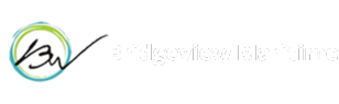 Bridgeview Maritime